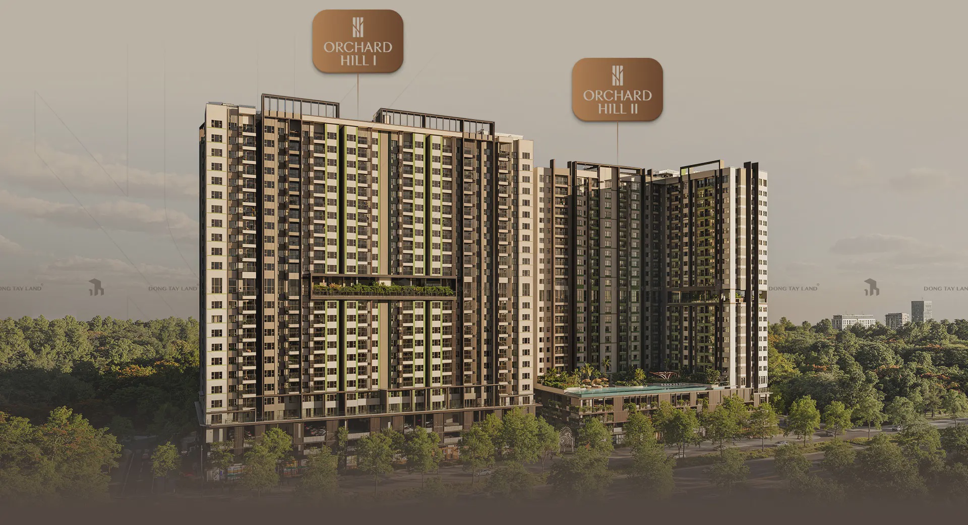 Orchard Hill at Sycamore