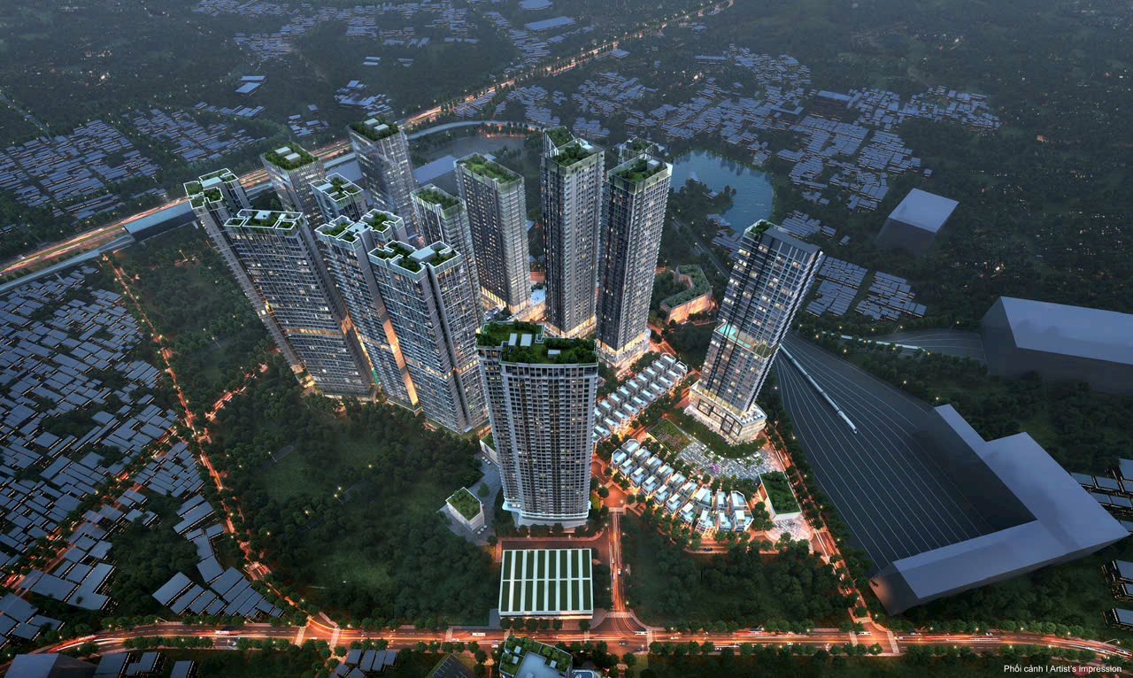 9 stellars - Alta Heights