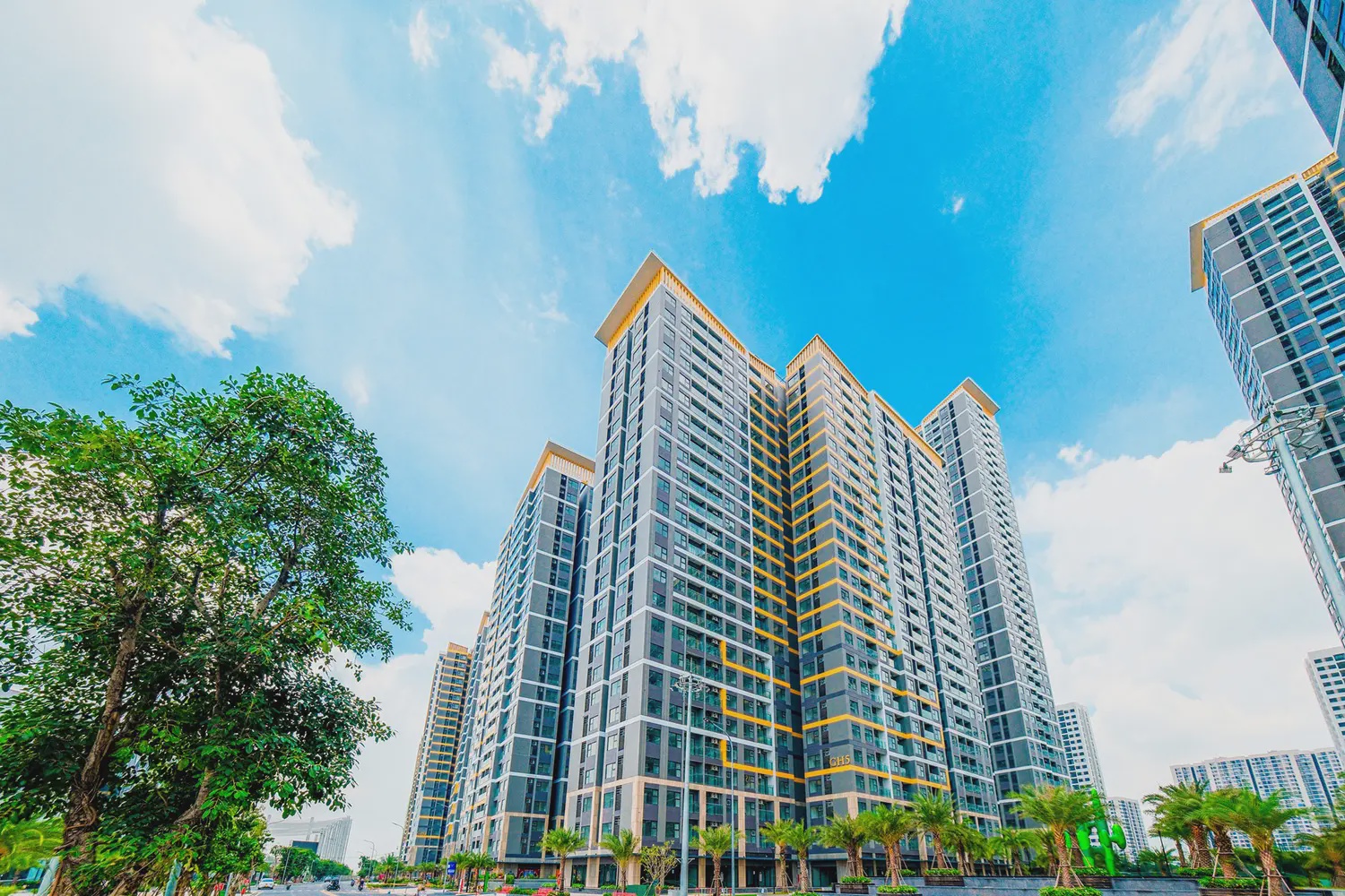 Glory Heights